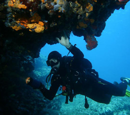 Diving activities