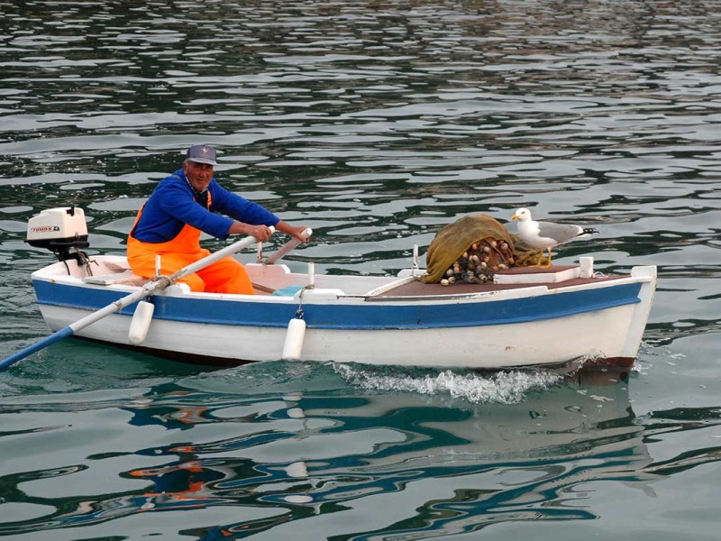 Fishermen in Komiza