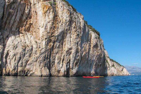 Blue Horizon Kayaking Tour