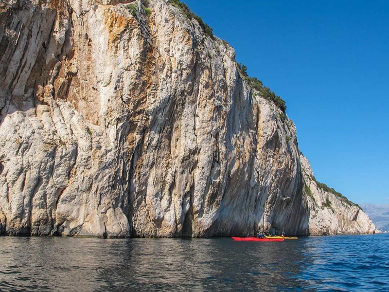 Blue Horizon Kayaking Tour