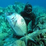 Spearfishing tour from Split