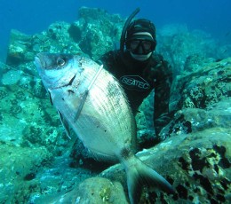 Spearfishing tour from Split