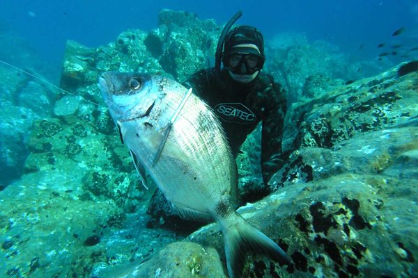 Spearfishing tour from Split