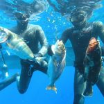 Spearfishing Tour from Split