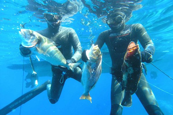 Spearfishing Tour from Split
