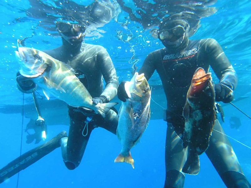 Spearfishing Tour from Split