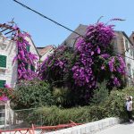 Charming House inside the Diocletian Palace Split