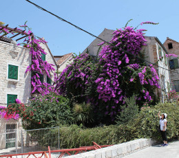 Charming House inside the Diocletian Palace Split