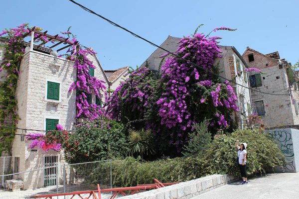 Charming House inside the Diocletian Palace Split