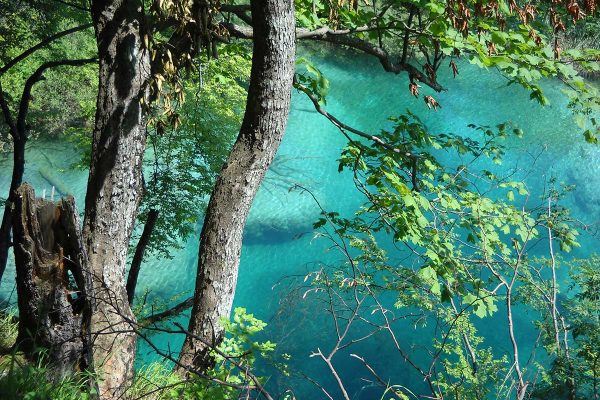 ClearLakePlitviceNationalPark