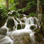 WaterstreamsThroughPlitvice