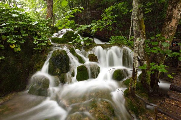 WaterstreamsThroughPlitvice