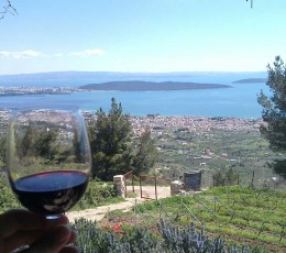 Zinfandel Origin Wine Tour From Split