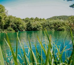 view on the calm Krka lake