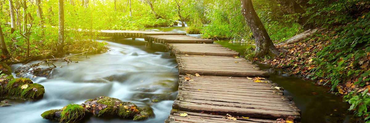 Plitvice Lakes from Split, trail through forest