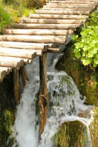 stream under wooden trail