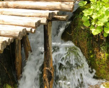 stream under wooden trail