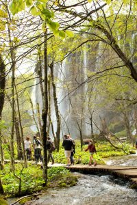 walk by the waterfalls