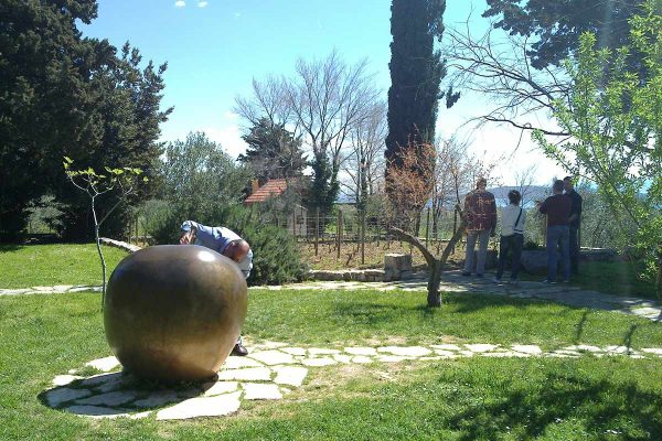 BiblicalGarden-Apple-View-WineTastingTour-toursfromsplit