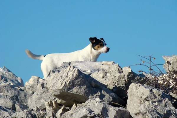 PodstranaHikingTour-ourhikingdog