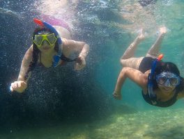 SeaKayakingTourSplit-snorkeling