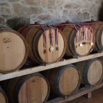 ZinfandelWineBarrels-awardwinners-winetoursplitcroatia