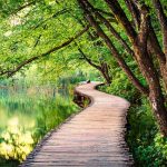 trail-through-plitvice-lakes-park