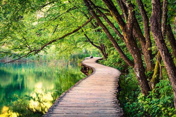 trail-through-plitvice-lakes-park