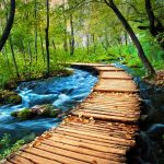 trail-through-the-forrest-plitvice-tour