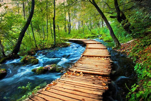 trail-through-the-forrest-plitvice-tour